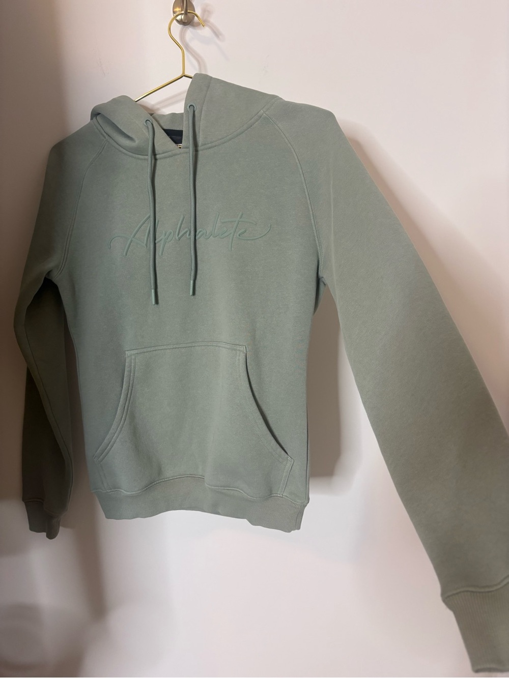 Alphalete Capital Crop Hoodie